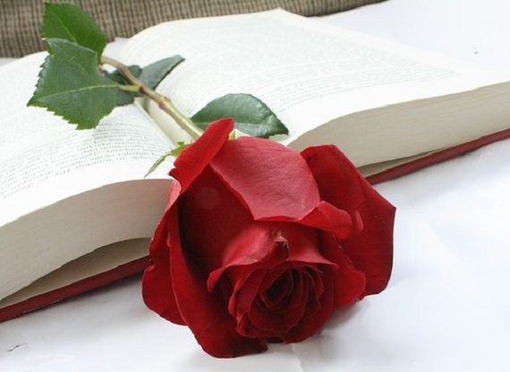 diada sant jordi libro y rosa