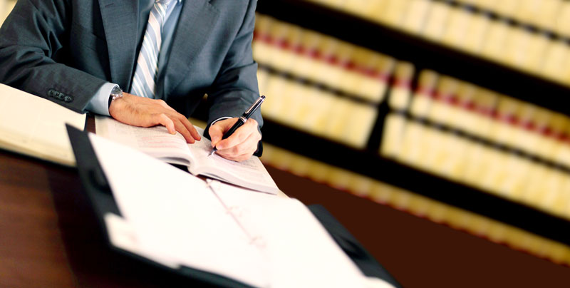 litigation support